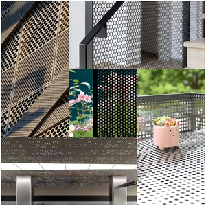 Malla Metálica Perforada de Acero Inoxidable SS 304L 316L Galvanizado, Red de Protección para Construcción en Exteriores 904L, Corte y Doblado para Soldadura - Product Image 6