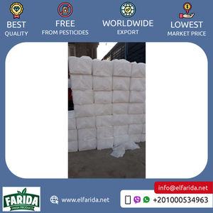 Exportador de confianza ofrece brócoli fresco natural egipcio de calidad superior Verduras de Venta caliente para compra al por mayor - Product Image 5