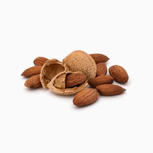 Amandes Noix prix de gros/Amandes Noix vente en gros - Product Image 3