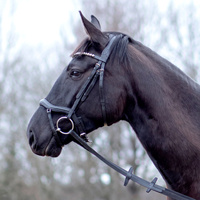 Bridon de dressage de luxe haut de gamme pour l'équitation, selle anglaise avec arceau en bois/plastique, doublure en cuir et laine d'agneau, léger