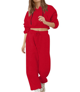 Survêtements OEM Survêtement Vêtements de Sport Slim Fit Hoodies et Joggers Ensemble Femmes Coton Pull À Capuche Survêtements Prix Raisonnable - Product Image 1