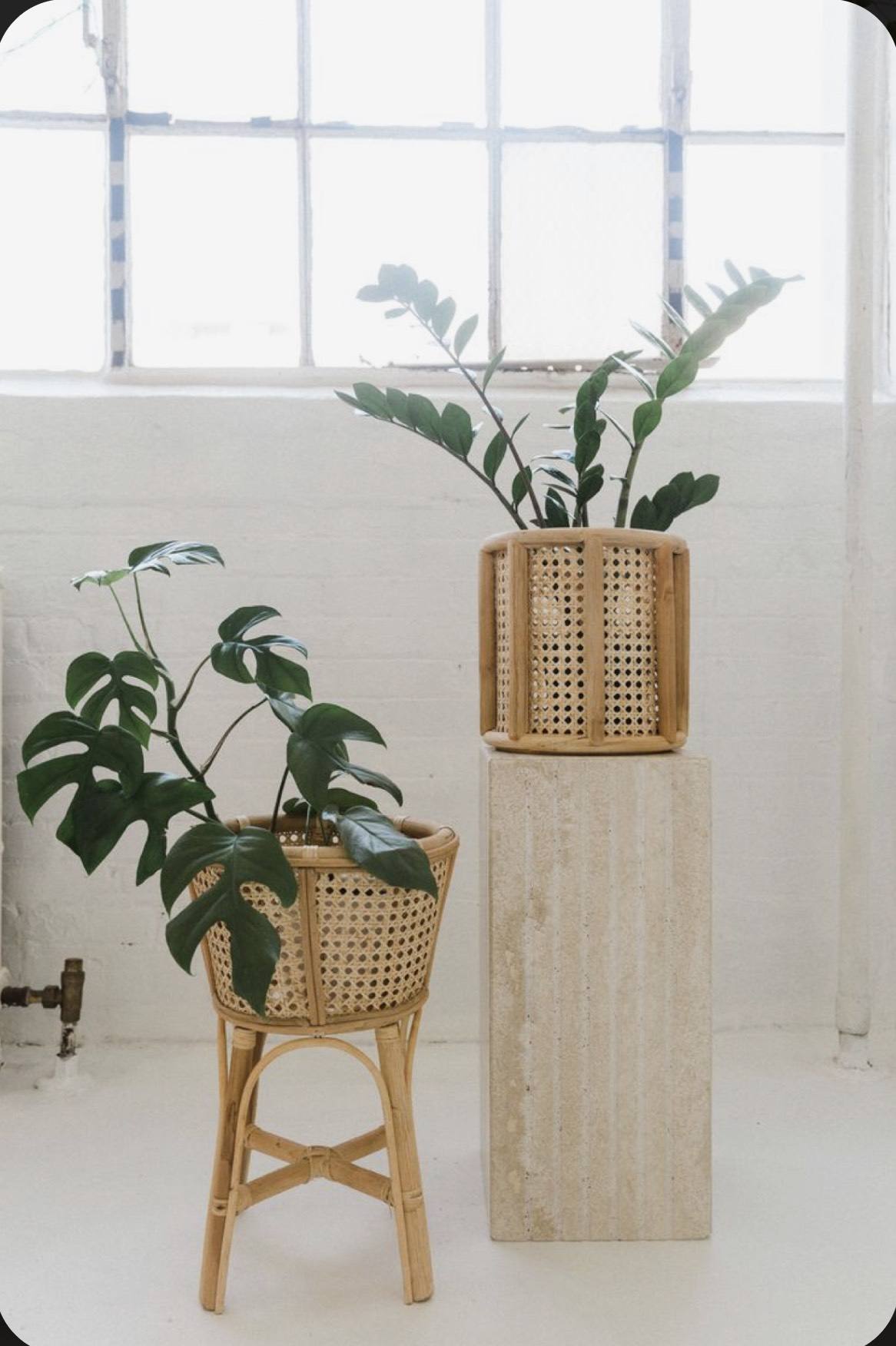 ธรรมชาติ