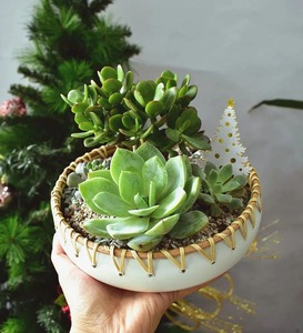 ชามตกแต่งอาหารทำจากไม้ไผ่และหวายเป็นมิตรกับสิ่งแวดล้อมสินค้าจากเวียดนามขายส่ง - Product Image 5