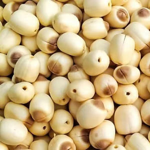 Graines de lotus vietnamiennes, un cadeau de la nature, qualité internationale - Product Image 1