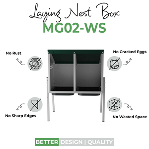 MG02-WS Two-Compartment Metal Laying Nest Box for 10 Chickens with Plastic <strong>Egg</strong> Tray and Metal Legs for Safe <strong>Egg</strong> <strong>Harvesting</strong> - Product Image 4