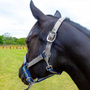 Correa de Cabeza para Caballo Suave, Arnés, Accesorios de Equitación, Nuevo Collar de Cabeza para Montar de Alexandria Industries - Product Image 5