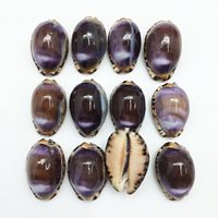Coquillages de cauris en gros à vendre – Divers types de coquillages naturels pour l'artisanat et la fabrication de bijoux