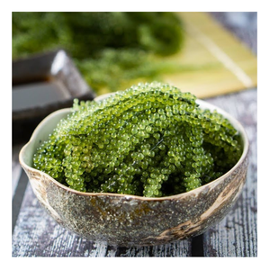 Raisins frais de la mer du Vietnam de qualité supérieure avec des perles croquantes et une saveur riche, idéaux pour les restaurants haut de gamme et les recettes de salades internationales - Product Image 2