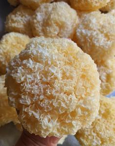 Soupe aux champignons blancs : Champignons blancs séchés, baies de goji, dattes rouges/Ziziphus Jujuba, graines de lotus blanc, etc. - Product Image 5