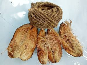 เชือกคอไรเบอร์มะพร้าวหยิกธรรมชาติ 100% สําหรับสวนและการตกแต่ง - Product Image 3