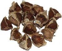 Graines de Moringa Oleifera PKM1, pur produit sec, stockage 1 an, usage alimentaire et cosmétique, plantes durables, BJ Cotonou