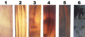 แผ่นเขาควายทำมือคุณภาพพรีเมียม 100% ทนทาน รูปทรงสัตว์ ขัดเงาอย่างเป็นธรรมชาติ - Product Image 5