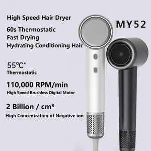 Low Noise Fast Drying Brushless Motor Suction High Speed Salon Professional Ionic Hair Dryer For Women