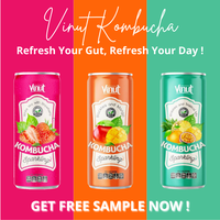 Boisson gazeuse au thé noir frais Kombucha 250 ml fabriquée au Vietnam, marque Vinut, saveur Pamplemousse et Miel (en conserve)