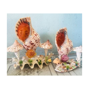 Eco Friendly Natural <b>Trumpet</b> Snails Premium Quality for Aquariums Seafood Cuisine and Shell Art Projects From Vietnam - Product Image 1