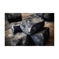 Briquettes de charbon de bois activé en bois de citronnier pour usage agricole
