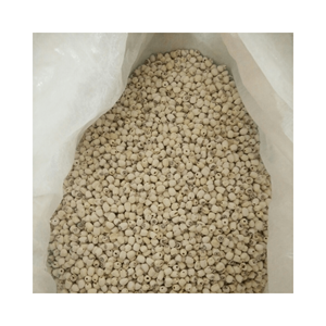 MEILLEUR PRIX 100% NATUREL VIETNAM AGRICULTURE BLACK LOTUS SEED-VENTE EN GROS HAUTE QUALITÉ LOTUS SEED - Product Image 5