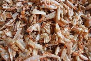 เปลือกหอยกุ้งแห้งปริมาณมากส่งออกจากซัพพลายเออร์เวียดนามบรรจุในถุง - Product Image 6