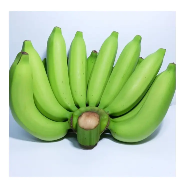 Cavendish Bananen Hoge Kwaliteit Verse Groene Tropische Banaan