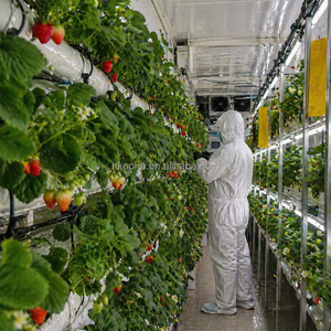 Système de culture verticale hydroponique pour fraises en conteneur, équipement d'agriculture intelligente pour la culture commerciale de fraises - Product Image 6