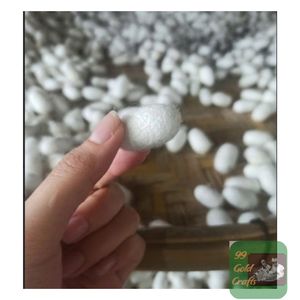 Capullos de gusano de seda pura 100% cortados abiertos para limpieza facial, eliminación de espinillas y exfoliación suave de la piel - Product Image 4