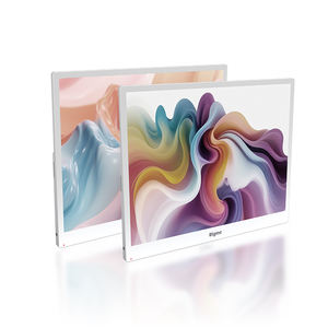 B13-- จอภาพอีเปเปอร์สีขนาด 13.3 นิ้ว ที่เป็นอันดับแรกของโลก - จอเดี่ยว - Product Image 1