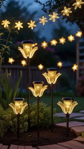 CRÉATION D'ESPACE FLAMMES GREATE PLACING ÉCLAIRAGE DÉCORATIF PETIO STEVEN FLOTTANT Décorations Bougie de vente chaude - Product Image 2