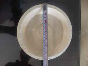 100% biodégradable jetable 6 pouces carré Areca plaque de feuille de palmier utilisation de fête écologique avec couvercle compostable - Product Image 2