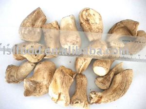 Tallo de hongo Shiitake seco de alta calidad Ángulo de tallo de hongo - Product Image 2