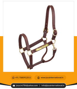 Sécurité doux mignon joli cheval licou professionnel licou avec plaque signalétique personnalisé spectacle licous à vendre intelligent - Product Image 6