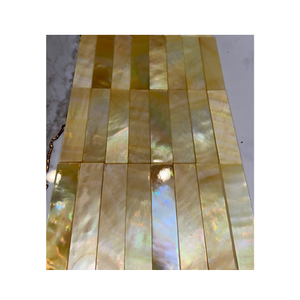 Piezas de nácar Material de concha orgánica para accesorios de joyería Decoración de muebles e incrustaciones Origen de Vietnam - Product Image 6