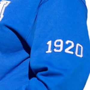 2025 venta al por mayor OEM personalizado en blanco de alta calidad 100% algodón pulóver logotipo personalizado impresión Sudadera con capucha para hombres - Product Image 6