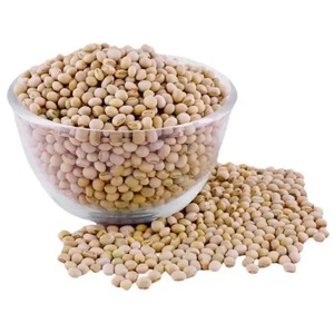 Graines de soja sèches jaunes naturelles et sans OGM de haute qualité/soja/soja - Product Image 4