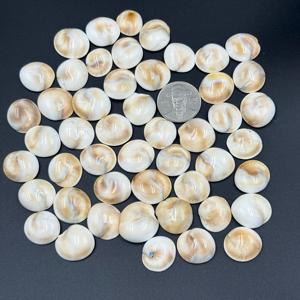 AAA + alta calidad 100% Natural ShivaEye cabujón tamaño personalizado mezcla forma blanco piedras preciosas sueltas joyería hacer lote disponible - Product Image 3