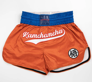 Pantalones cortos de lucha Muay Thai y MMA con estampado personalizado, pantalones cortos de entrenamiento de artes marciales para adultos Unisex, 80% poliéster, 20% Spandex de alta calidad - Product Image 1