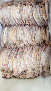 ปลาหมึกตากแห้งคุณภาพสูงจากธรรมชาติร้อยละ100เหมาะสำหรับผู้นำเข้าทั่วโลกที่ผลิตจาก2025เวียดนาม - Product Image 4