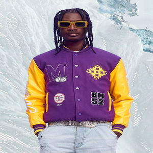 Veste universitaire personnalisée pour hommes col montant veste Letterman avec impression de logo hiver chaud blouson de baseball OEM ODM - Product Image 5