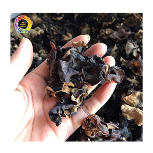 Champignon d'oreille en bois séché cultivé de qualité supérieure, Champignon noir séché comestible en gros pour plats gastronomiques - Product Image 6