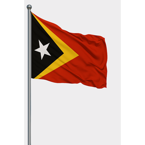 Custom Timor Oriental Exterior <b>Flag</b> Digital Printing Aluminum <b>Pole</b> Pennant Plastic Polyester Silk Automotive Insurance Industry - Product Image 1
