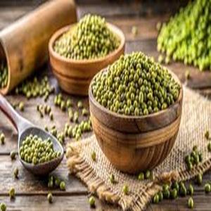 ถั่วเขียวสีเขียวมีความต้องการสูงสามารถส่งออกได้ในราคาถูก - Product Image 2