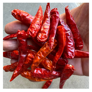 Chiles secos de Vietnam: especias naturales, audaces y fáciles de usar para recetas de moda, chiles que elevan cada creación culinaria - Product Image 6