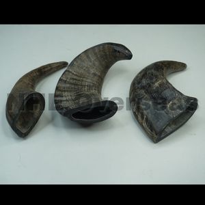 Chien en corne de buffle durable mâche des friandises naturelles de qualité supérieure, saines et sûres, durables pour la santé dentaire et la mastication des chiots - Product Image 4