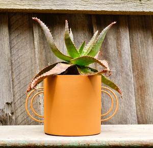 Meilleure vente Grande jardinière en laiton avec patine antique adaptée aux intérieurs de boutiques, aux espaces spirituels ou aux pièces de décoration festive - Product Image 6