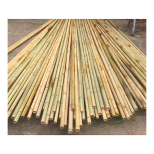 Poste de bambú de fábrica de muchos colores con tamaño personalizado para la Agricultura/en stock Material duradero de alta calidad en Vietnam - Product Image 2