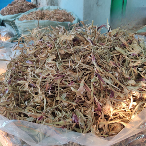 ผงใบอาร์ติโช้คแห้งจากเวียดนาม - Product Image 2