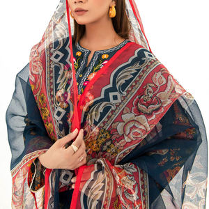 Vestidos de mujer indios paquistaníes Shalwar Kameez de alta calidad, Kurti para mujer 2023 - Product Image 4