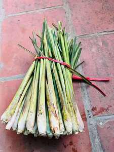 ตะไคร้สีเขียวสดจากเวียดนามของขวัญประจำวันของความบริสุทธิ์เขตร้อน - Product Image 5