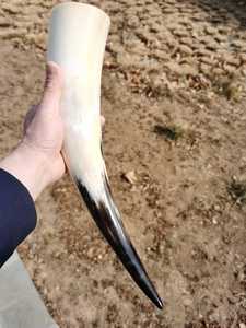 Nouveauté Corne à boire Viking (Corne de buffle et d'agate) Polie Durable Support - Meilleure qualité - Product Image 4