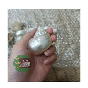 Hermoso recuerdo de concha artesanal costera Servilleteros de concha marina Artesanía de concha marina creativa de Vietnam - Product Image 2