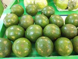 Aguacate fresco de primera calidad, fruta tropical dulce para bebidas - Product Image 6